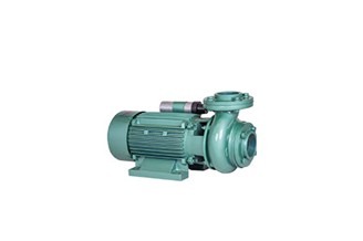 Centrifugal Monobloc Pumps